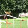 agility 2011-08
